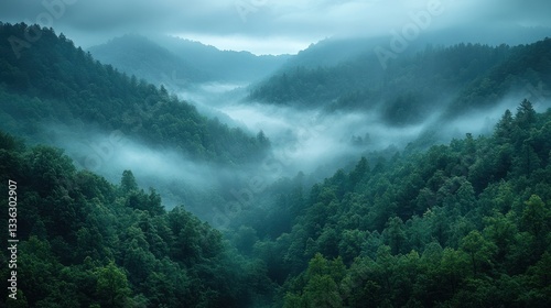 Misty mountain valley landscape, dense forest, tranquil scene