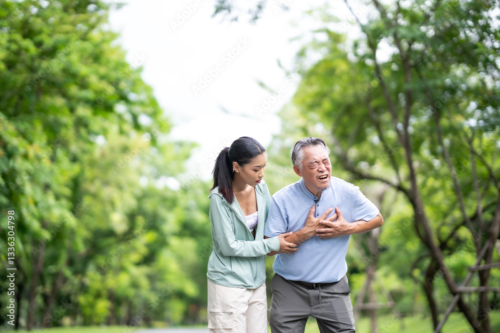 A daughter helping her father, old elderly sick senior Asian man got heart attack at park. Retired old man chest pain outdoor. Health problem insurance concept. A daughter helping her father, old elderly sick senior Asian man got heart attack at park. Retired old man chest pain outdoor. Health problem insurance concept.