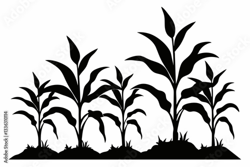 corn seedlings thriving in fertile soil line art silhouette vector illustration
