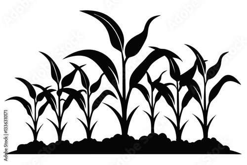 corn seedlings thriving in fertile soil line art silhouette vector illustration