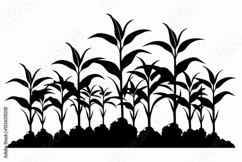 corn seedlings thriving in fertile soil line art silhouette vector illustration