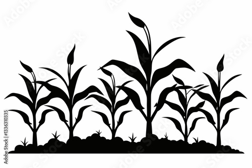 corn seedlings thriving in fertile soil line art silhouette vector illustration