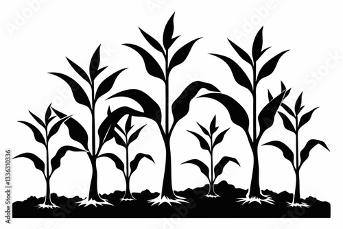 corn seedlings thriving in fertile soil line art silhouette vector illustration