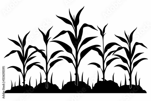 corn seedlings thriving in fertile soil line art silhouette vector illustration