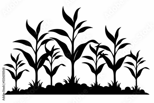 corn seedlings thriving in fertile soil line art silhouette vector illustration