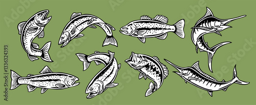 Hand-drawn vector illustration set of various fish species, including trout, bass, and marlin. Ideal for fishing logos, outdoor designs, t-shirt designs, and decals.