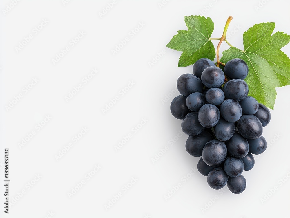 Fresh bunch of dark grapes with green leaves on a white background Fresh bunch of dark grapes with green leaves on a white background