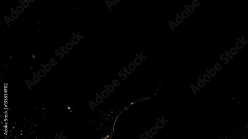 A lively splash of colorful fruit, ideal for fresh and playful visual transitions.