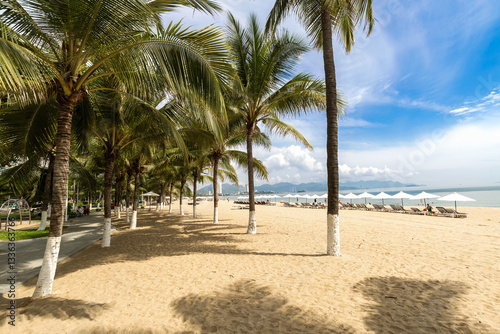 Fototapeta Naklejka Na Ścianę i Meble -  tropical beach with palm trees