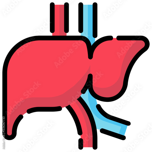 liver vector filled outline icon