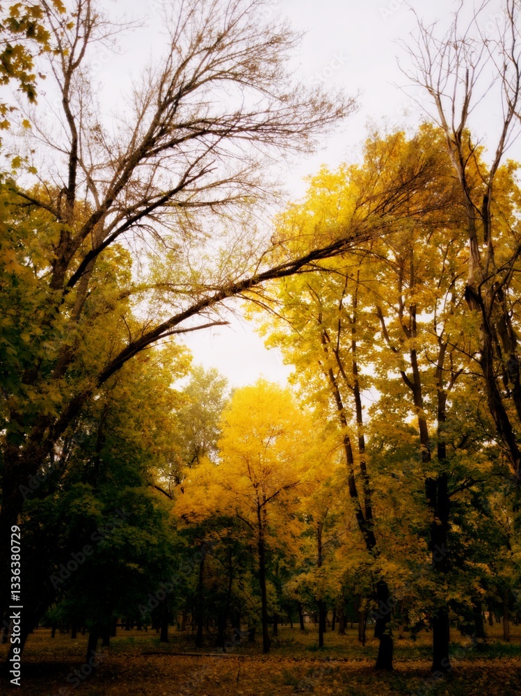 Naklejka premium Enchanted fall forest with golden leaves 