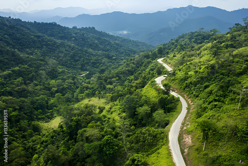 Aerial top view, mountaint road in dark green forest,