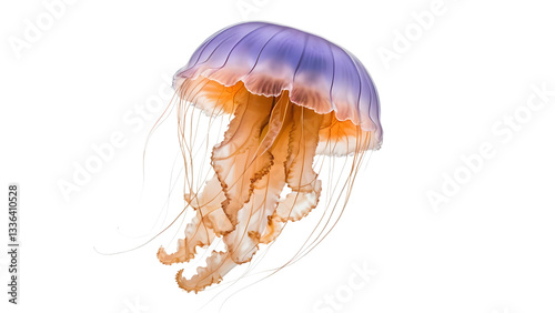 Ethereal Jellyfish with Flowing Tentacles iisolated on transparent background.