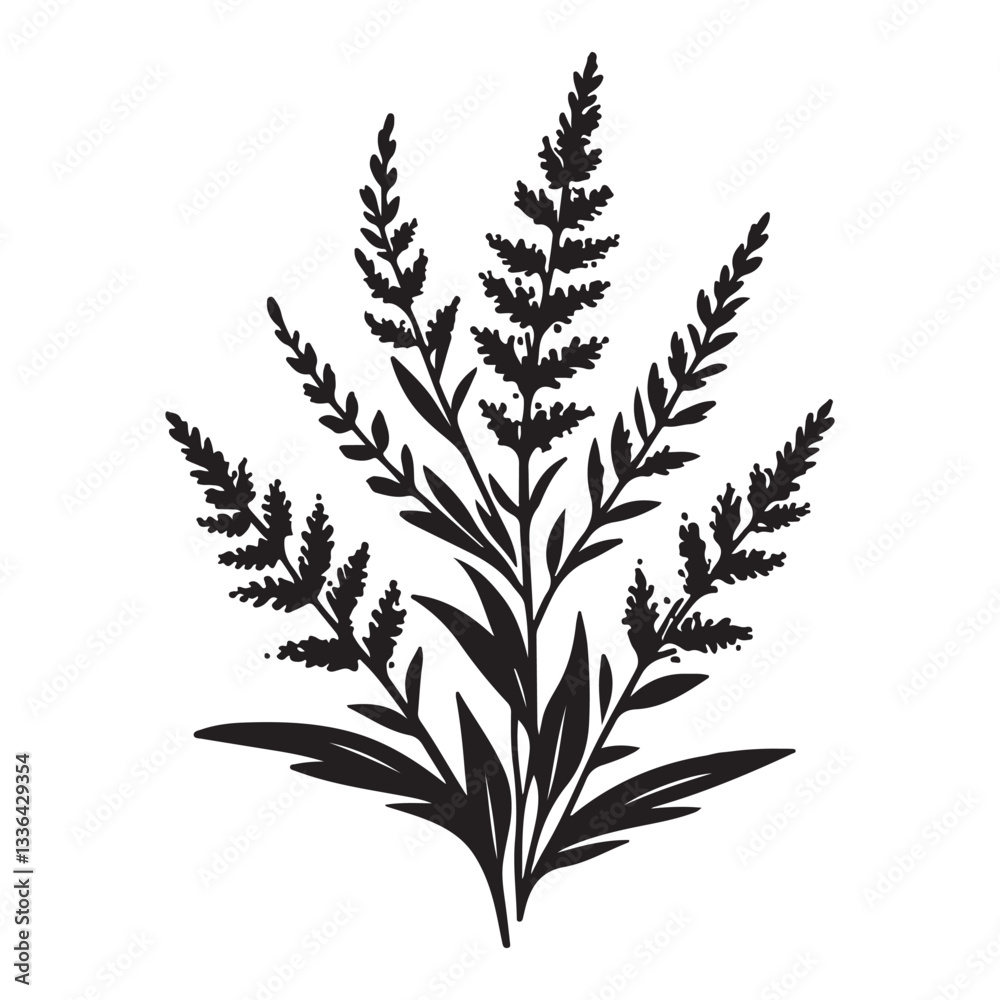 Naklejka premium Elegant Goldenrod Vector Silhouette Illustration for Botanical and Floral Designs