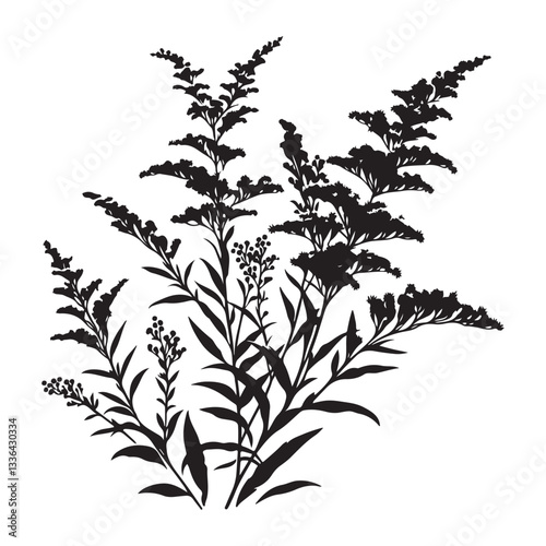 Wallpaper Mural Detailed Silhouette Goldenrod Plant Illustration With Flowers and Leaves Torontodigital.ca