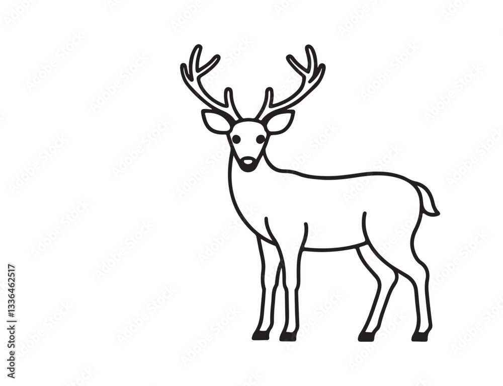 deer deer