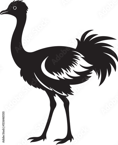 ostrich emu bird silhouette, black and white silhouette, vector and illustration