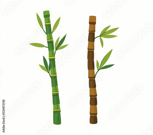Two bamboo stalks, one green, one brown, with leaves