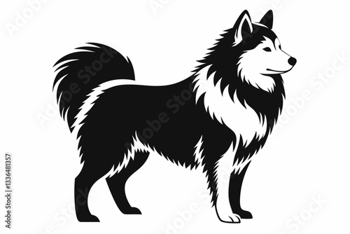 american eskimo dog line art silhouette vector illustration