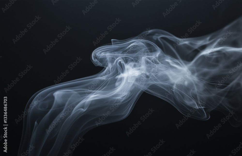 Obraz premium A wisp of white smoke swirls against a dark background, forming the shape of an animal. The delicate, translucent wisps dance gracefully on their own, creating a captivating image against a pure black