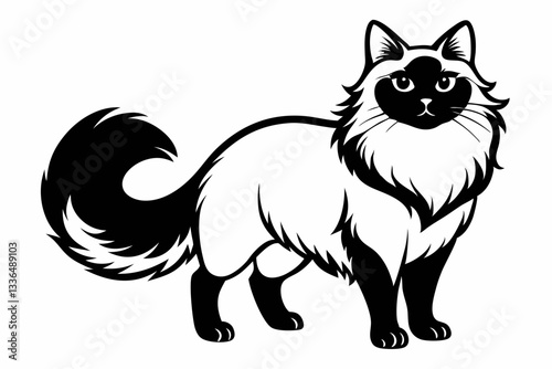 himalayan cat line art silhouette vector illustration