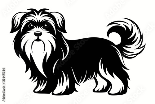 maltese dog line art silhouette vector illustration