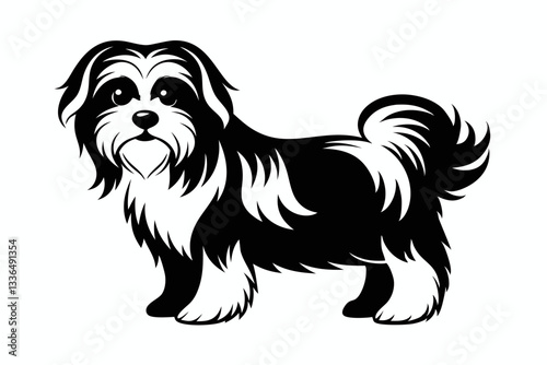 maltese dog line art silhouette vector illustration