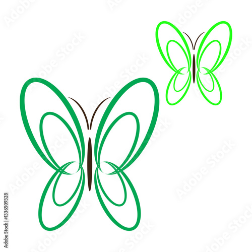butterfly on a white background