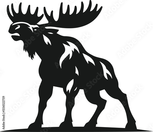 black and white angry moose standing tall and ready to charge