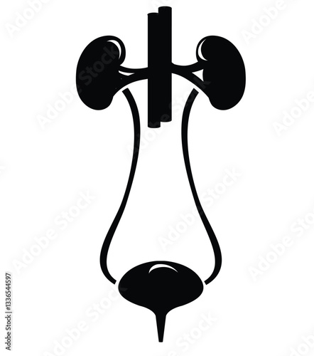 Science of hand drawn vector urinary system icon silhouette.