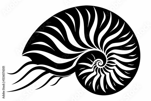 nautilus line art silhouette vector illustration