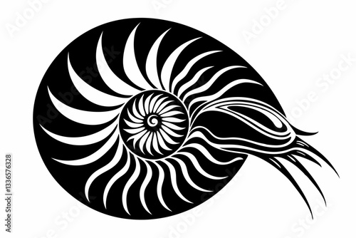 nautilus line art silhouette vector illustration