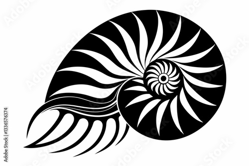 nautilus line art silhouette vector illustration