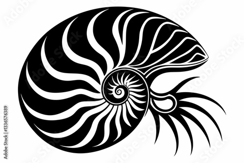 nautilus line art silhouette vector illustration