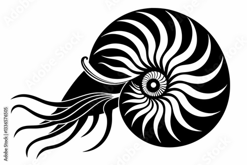 nautilus line art silhouette vector illustration