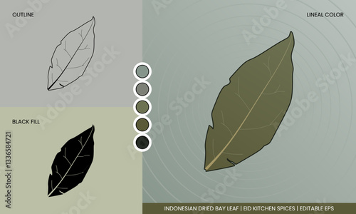 Indonesian Dried Bay Leaf Vector Icon Sheet, Syzygium polyanthum, Daun Salam. Realistic lineal color, outline, and black fill graphic style. Eid kitchen spices design element. Perfect for education.