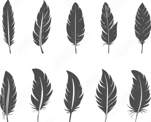 Set silhouettes of feather isolated on transparent background. Vector clipart