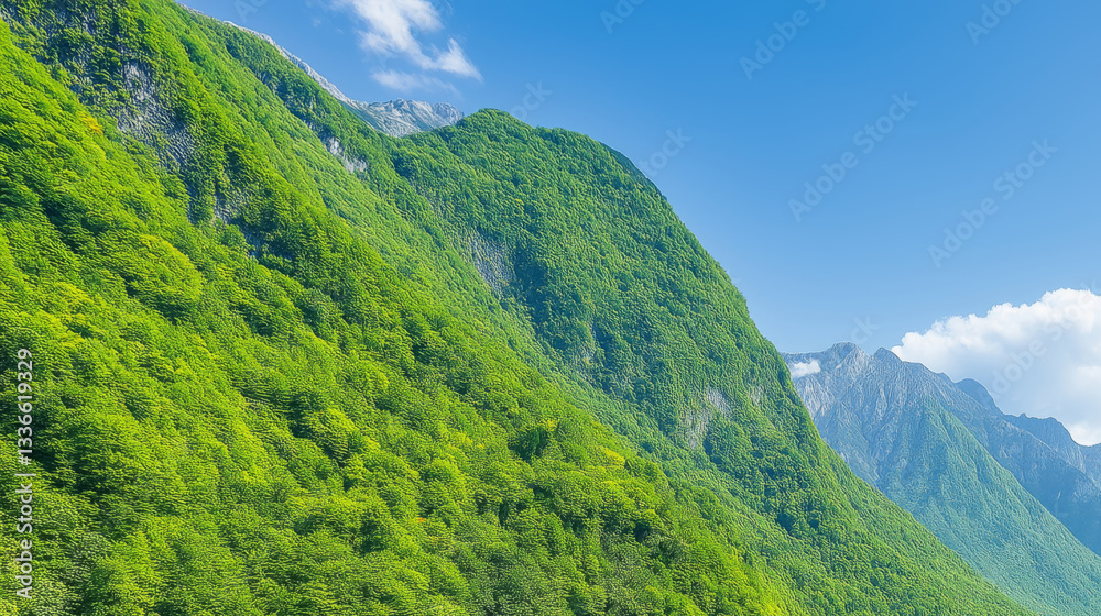 Fototapeta premium Lush Green Mountain Landscape Under Blue Sky