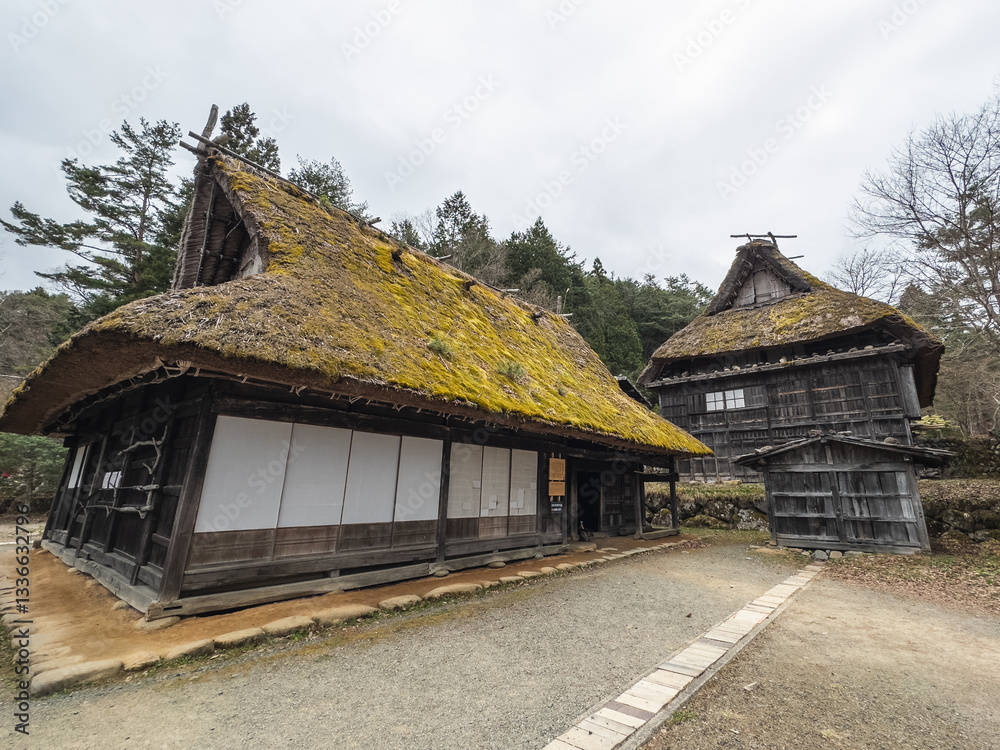 Moss-Covered Thatched Farmhouses