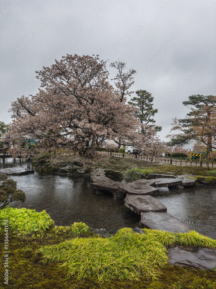Serene Kenrokuen Garden Pond