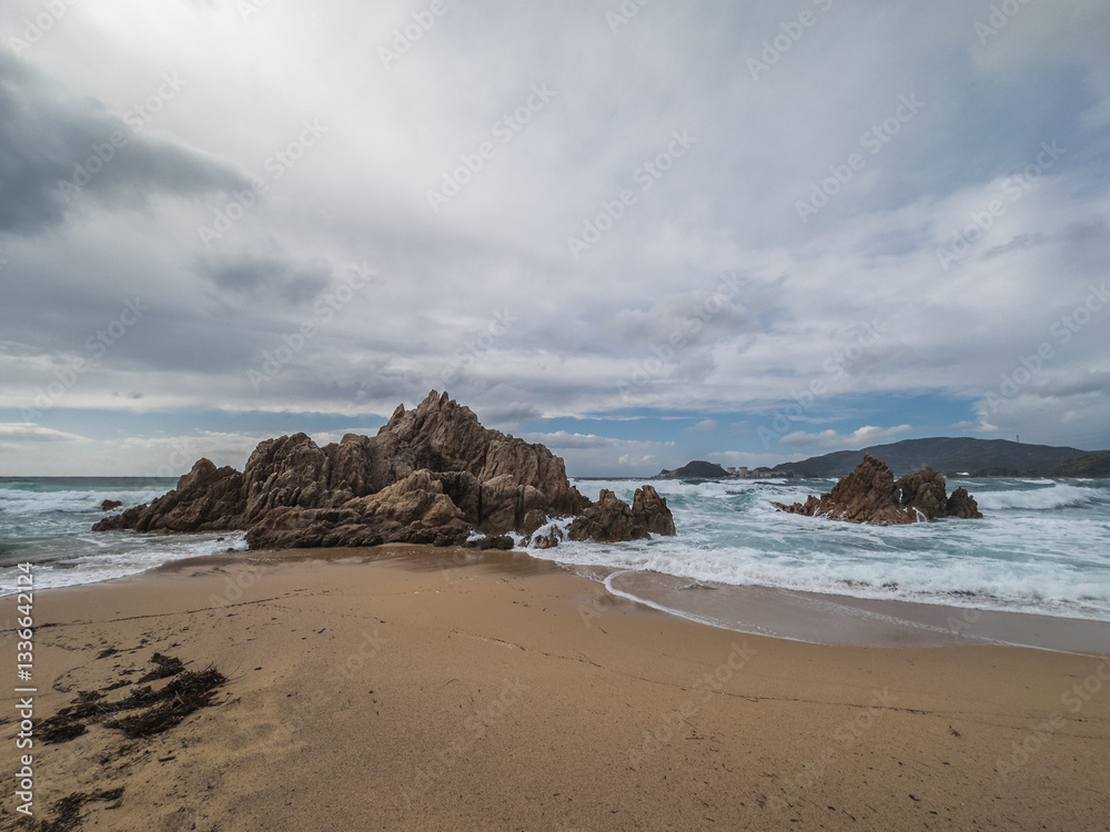Wild Coastal Waves Japan