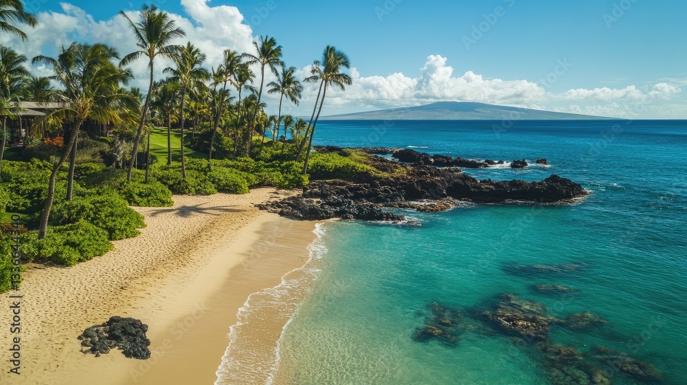 Obraz premium Tropical Paradise: Capturing the essence of paradise, a stunning aerial perspective reveals an idyllic beach fringed by swaying palm trees and turquoise waters meeting the horizon.