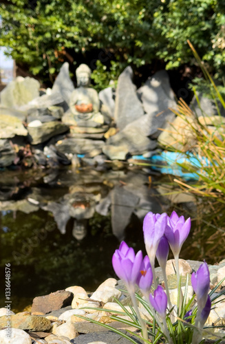 Obraz na płótnie Crocus spring flowers in the water pond Japan stone garden w salonie