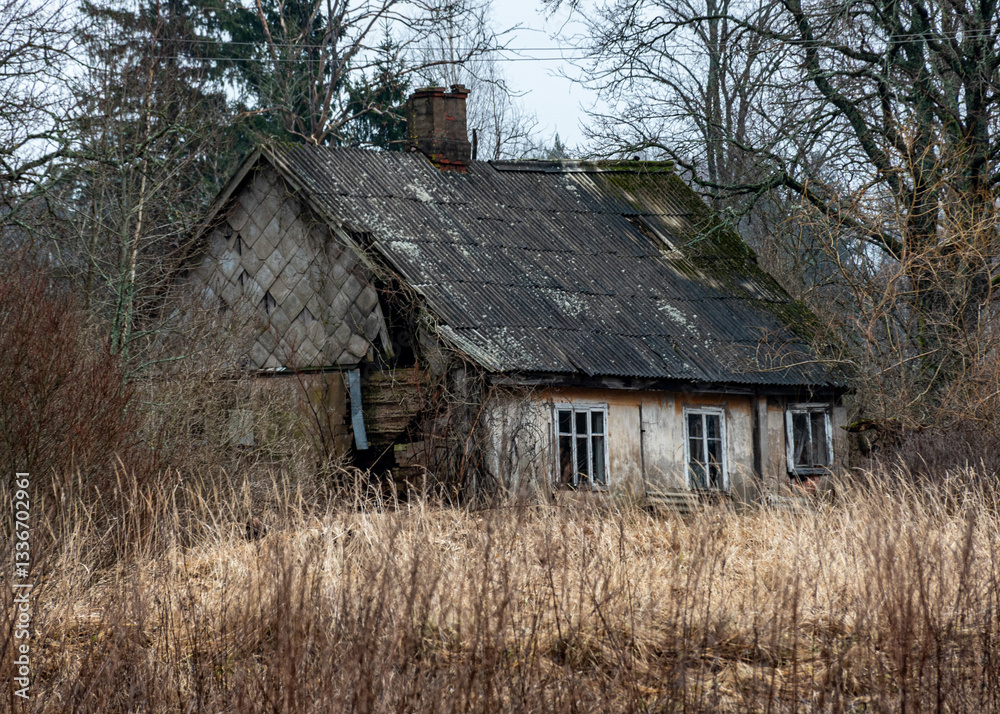lonely rural landscape with an old and abandoned wooden building on the edge of the forest, winter