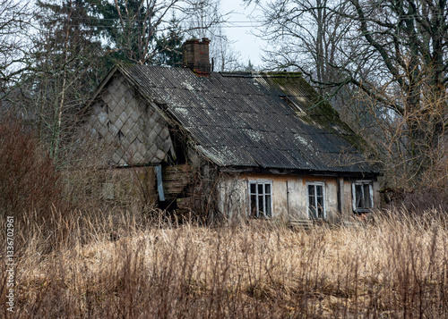 Obraz na płótnie lonely rural landscape with an old and abandoned wooden building on the edge of the forest, winter w salonie