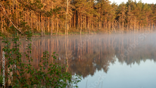 Obraz na płótnie sunrise, sunset landscape by the swamp lake, morning fog, golden hour, reflections in the water, traditional swamp lake vegetation w salonie