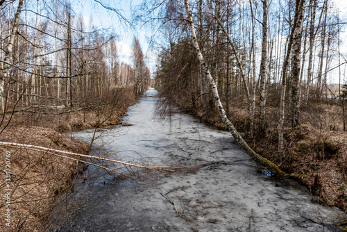 Obraz na płótnie swamp ditch in spring, beautiful reflections of trees on the surface of the water, leafless trees in spring, long developed swamp w salonie