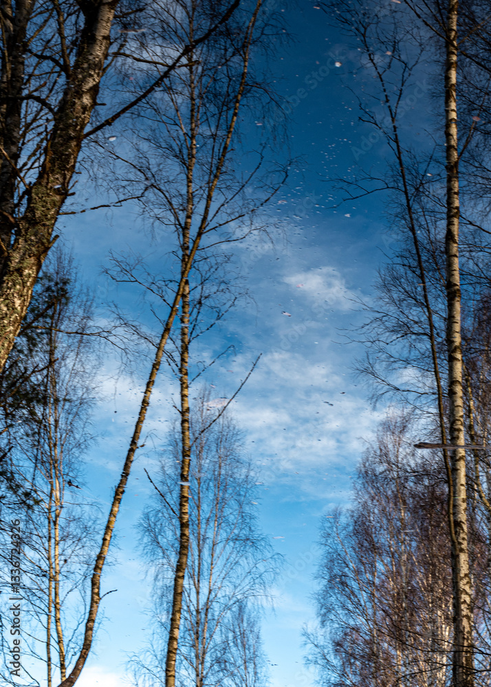abstract picture with reflections of trees in water, fuzzily, blurred silhouettes of trees reflected in a swamp ditch