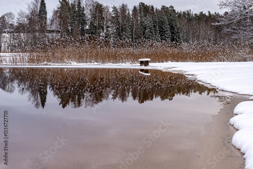 Obraz na płótnie winter landscape with calm lake, white trees, reeds, reflections of the still lake, enchanting peace in nature, Vaidava Lake, Latvia w salonie