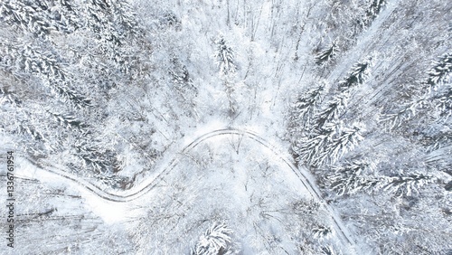 snow on the road